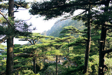 黄山景区黄山风景风光