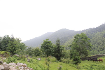 江西武功山风景武功山