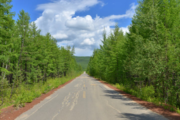 林场公路