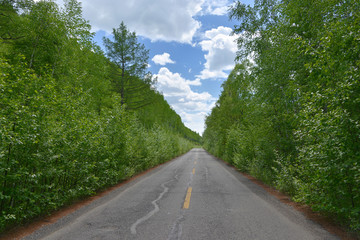 林区公路