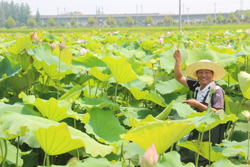 采荷人