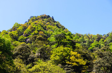 梵净山