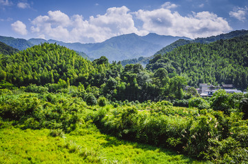 夏日山岭风光