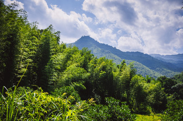 夏日山岭风光