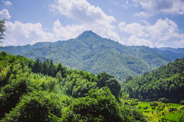 夏日山岭风光