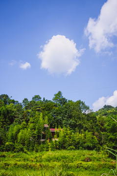 夏日山岭风光