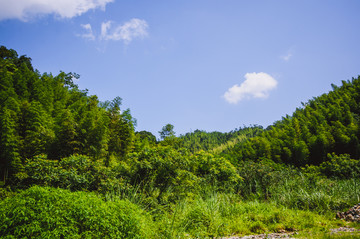 夏日山岭风光