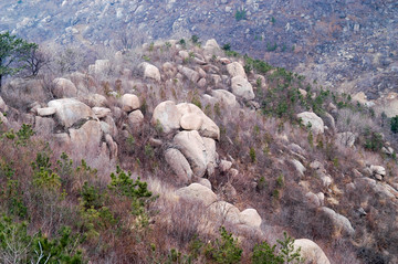 天津盘山