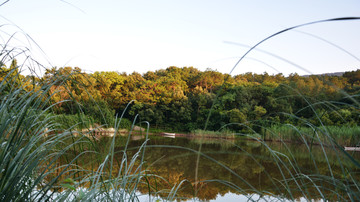 唯美湖景