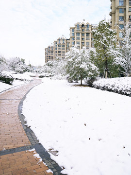 城市花园雪景