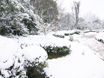 城市花园雪景