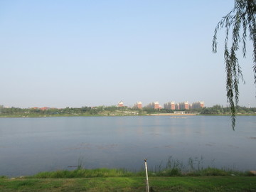 龙子湖
