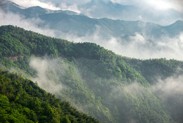 宁波南山茶场云海