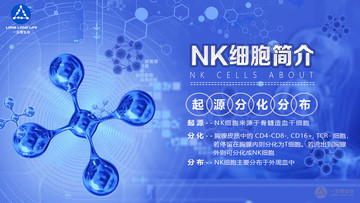 NK细胞简介