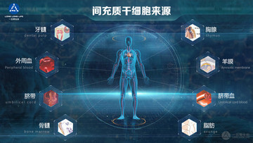 間充質(zhì)干細(xì)胞來源