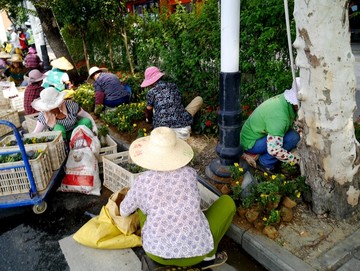 栽花