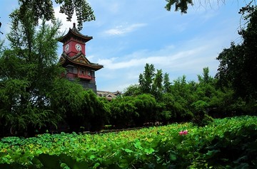 四川大学华西校区荷花池