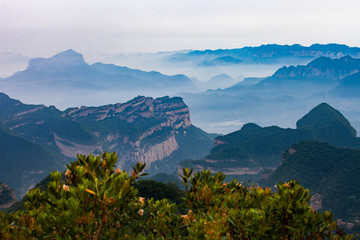 板山云雾（一）