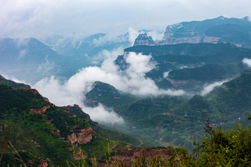 板山云雾（一）