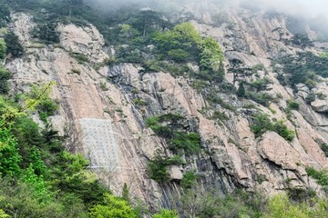 泰山万丈碑