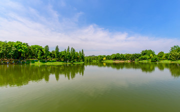 大夫山森林公园