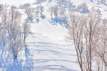 滑雪场