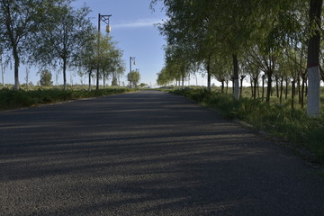 绿色风景公路