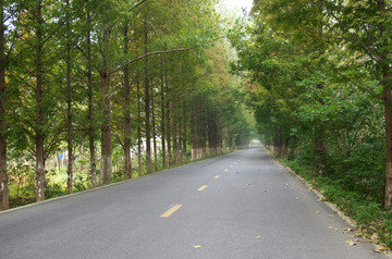 乡村公路