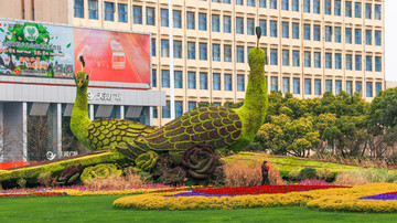 南京植物孔雀景观雕塑