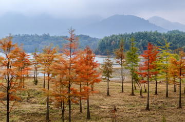 塔川秋色