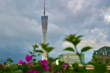 花城