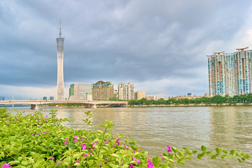 二沙岛美景