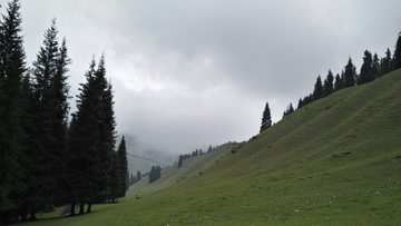 山雨欲来