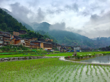 苗寨田园风光