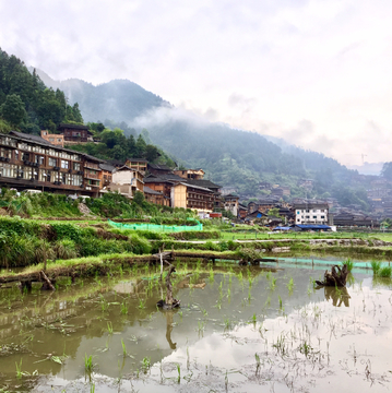 苗寨田园风景