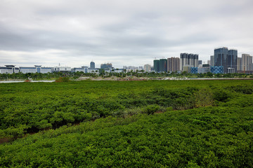 防城港海滨新区