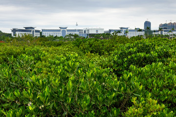 防城港海滨新区