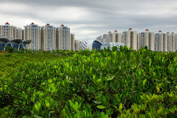 防城港海滨新区