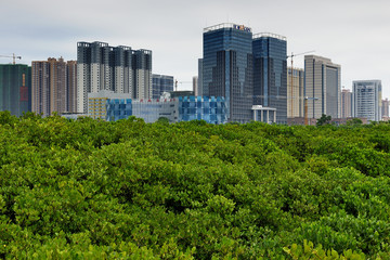 防城港海滨新区