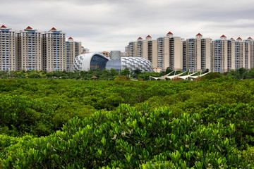 防城港海滨新区