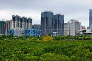 防城港海滨新区