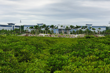 防城港海滨新区