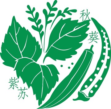 植物插画