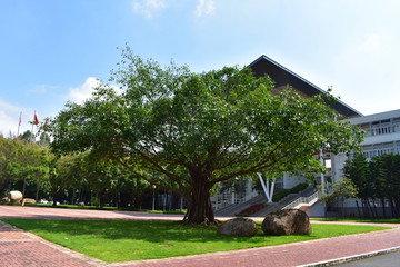 深圳大学