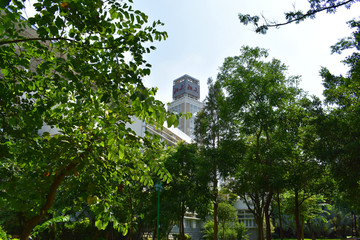 深圳大学