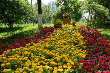 公园鲜花 鲜花造型