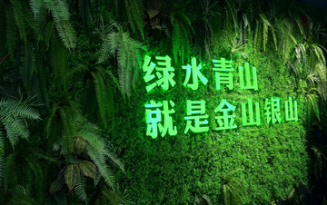 绿植墙