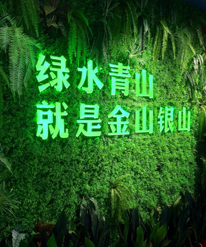 绿植墙