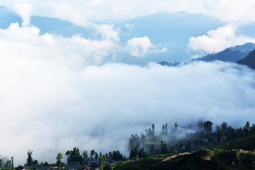 乡村雾景