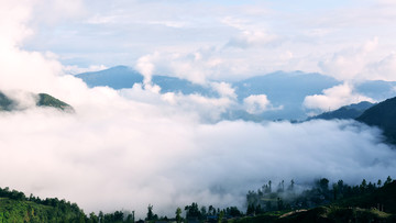 乡村雾景